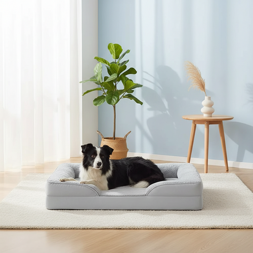 The Comfort Haven